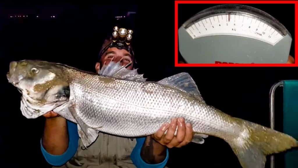 https://revistajaraysedal.es/wp-content/uploads/2021/08/pesca-galicia-puerto.jpg