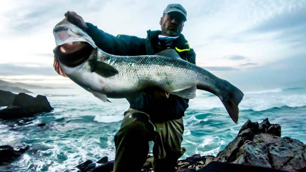 https://revistajaraysedal.es/wp-content/uploads/2021/08/pesca-galicia-puerto.jpg
