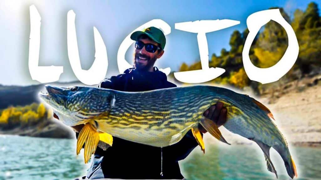 https://revistajaraysedal.es/wp-content/uploads/2021/08/pesca-galicia-puerto.jpg