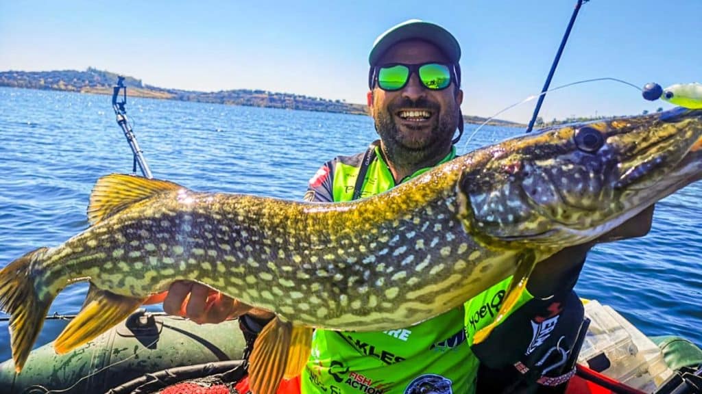 https://revistajaraysedal.es/wp-content/uploads/2021/08/pesca-galicia-puerto.jpg