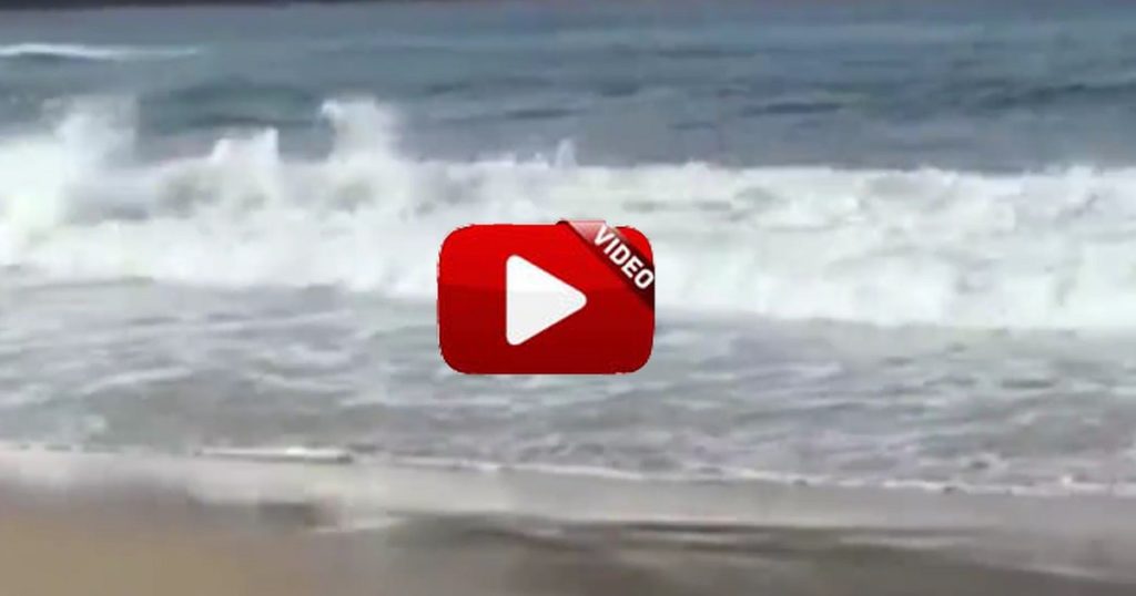 http://stag1.revistajaraysedal.es///wp-content/uploads/2021/08/pesca-galicia-puerto.jpg
