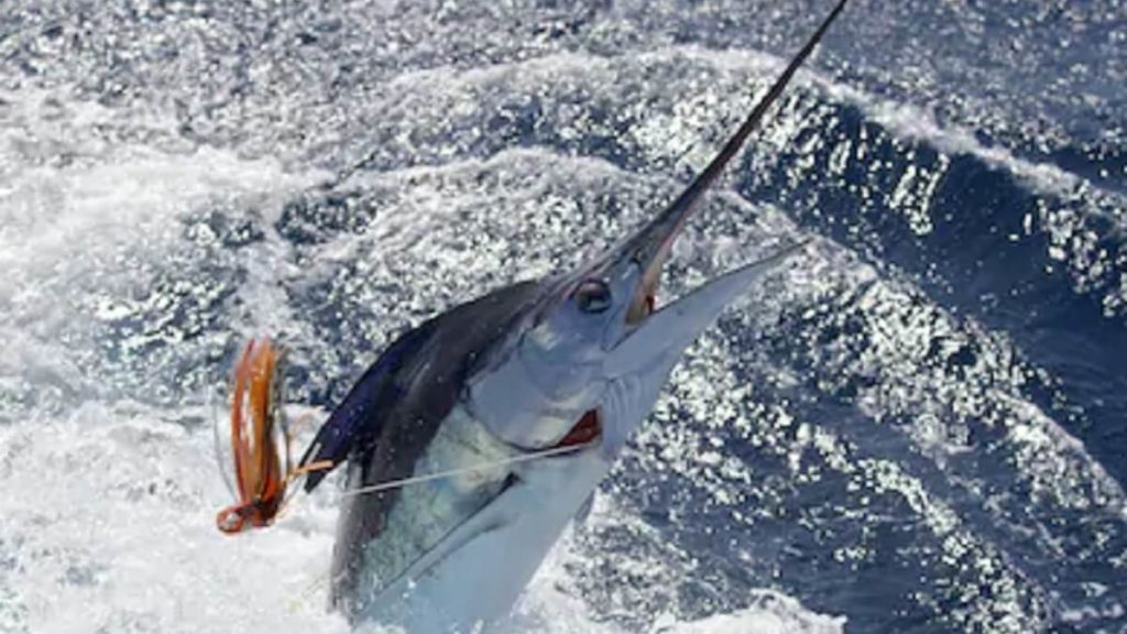 https://revistajaraysedal.es/wp-content/uploads/2021/08/pesca-galicia-puerto.jpg