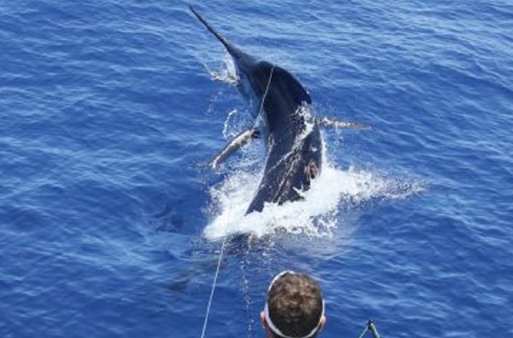 http://stag1.revistajaraysedal.es///wp-content/uploads/2021/08/pesca-galicia-puerto.jpg