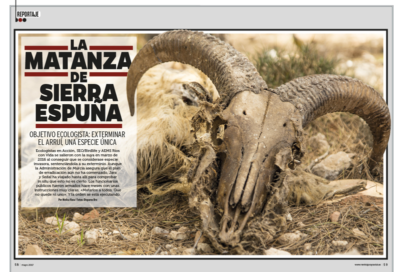 http://stag1.revistajaraysedal.es/wp-content/uploads/2021/08/pesca-galicia-puerto.jpg