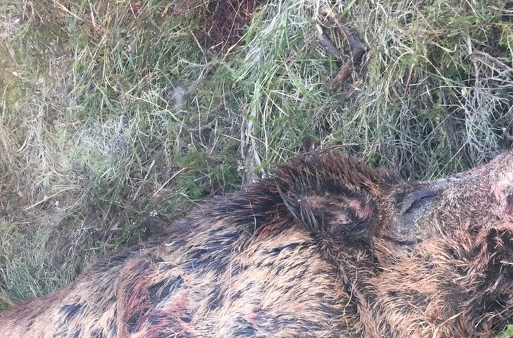https://revistajaraysedal-app.ute5hxv3fp-ypj68j2z53l2.p.temp-site.link/wp-content/uploads/2021/08/pesca-galicia-puerto.jpg