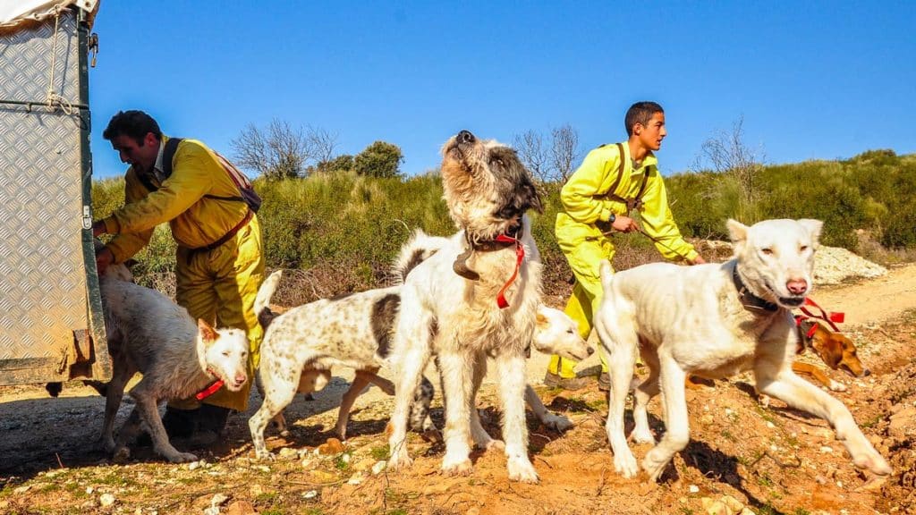 https://revistajaraysedal.es/wp-content/uploads/2021/08/pesca-galicia-puerto.jpg