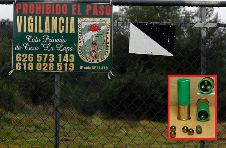 http://stag1.revistajaraysedal.es///wp-content/uploads/2021/08/pesca-galicia-puerto.jpg