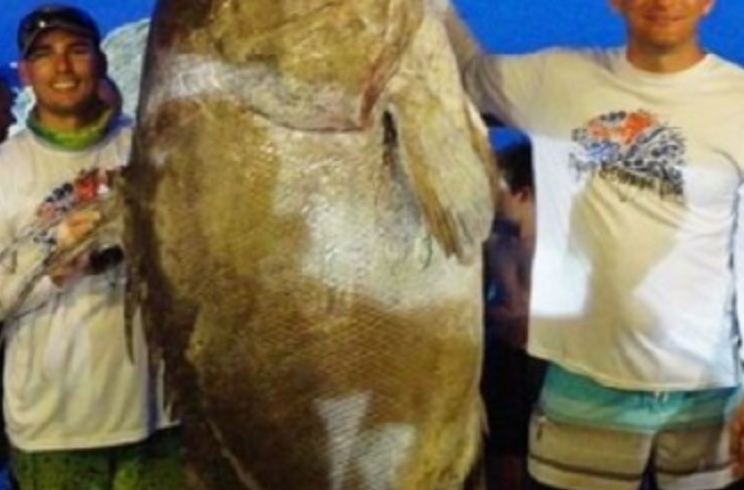https://revistajaraysedal-app.ute5hxv3fp-ypj68j2z53l2.p.temp-site.link/wp-content/uploads/2021/08/pesca-galicia-puerto.jpg