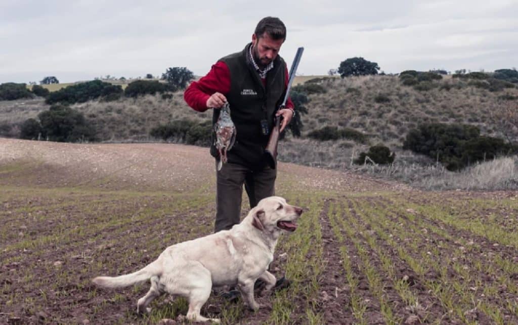https://revistajaraysedal.es/wp-content/uploads/2021/08/pesca-galicia-puerto.jpg