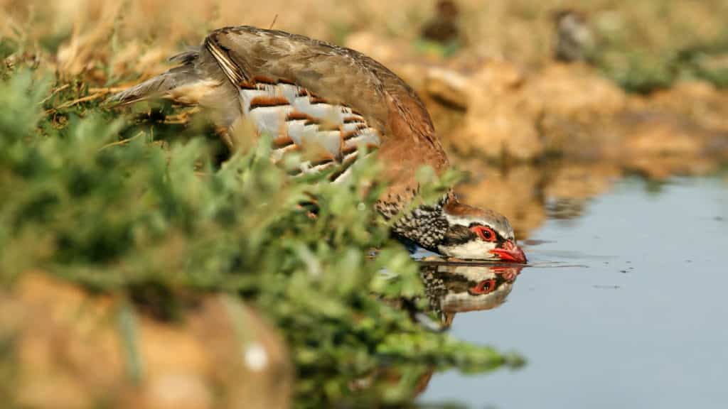 https://revistajaraysedal.es/wp-content/uploads/2021/08/pesca-galicia-puerto.jpg