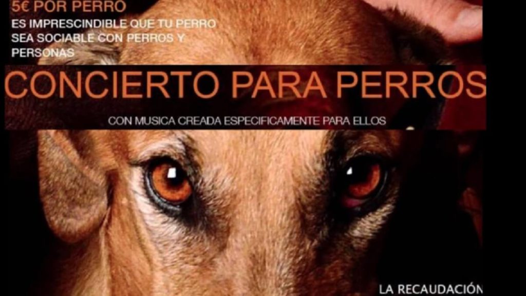 https://revistajaraysedal.es/wp-content/uploads/2021/08/pesca-galicia-puerto.jpg