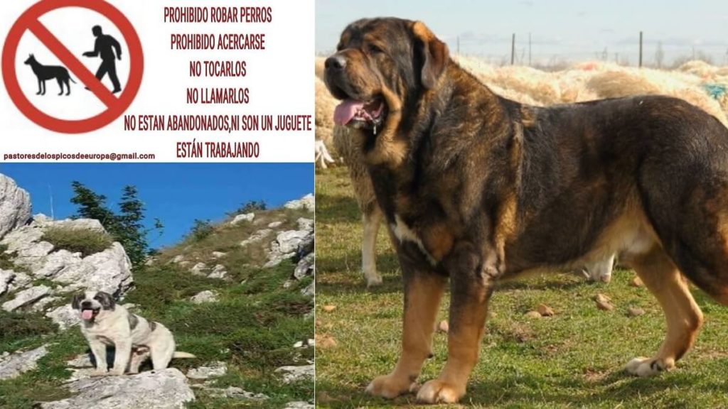 https://revistajaraysedal.es/wp-content/uploads/2021/08/pesca-galicia-puerto.jpg