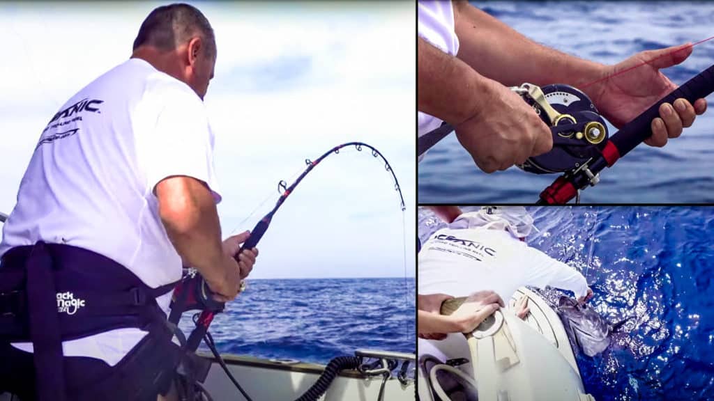 https://revistajaraysedal.es/wp-content/uploads/2021/08/pesca-galicia-puerto.jpg