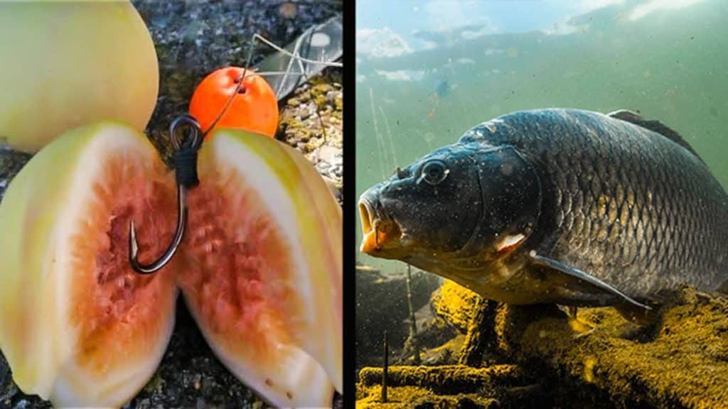 https://revistajaraysedal.es/wp-content/uploads/2021/08/pesca-galicia-puerto.jpg