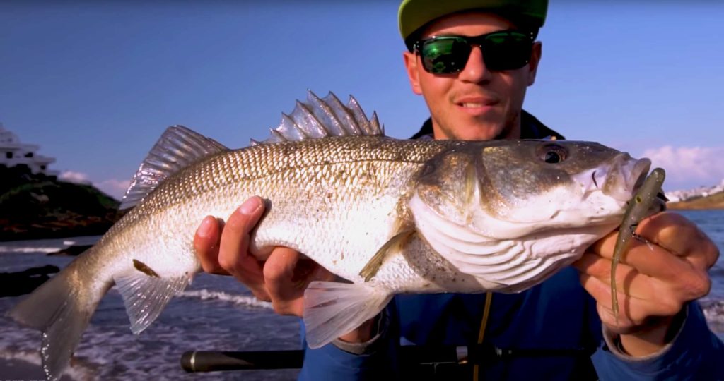 https://revistajaraysedal.es/wp-content/uploads/2021/08/pesca-galicia-puerto.jpg