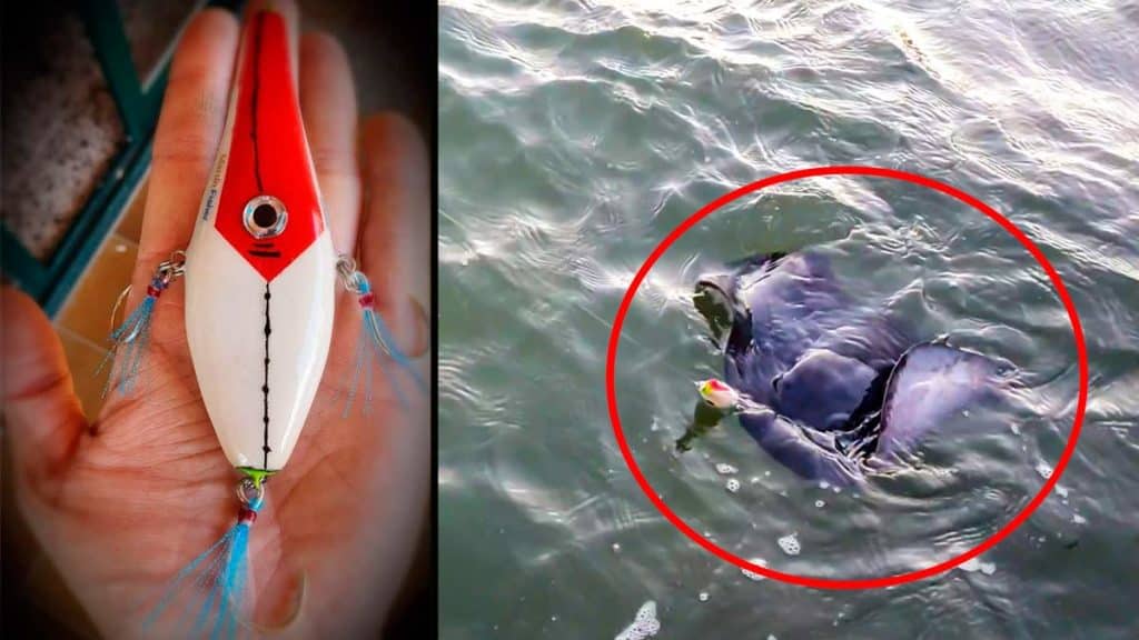 https://revistajaraysedal.es/wp-content/uploads/2021/08/pesca-galicia-puerto.jpg