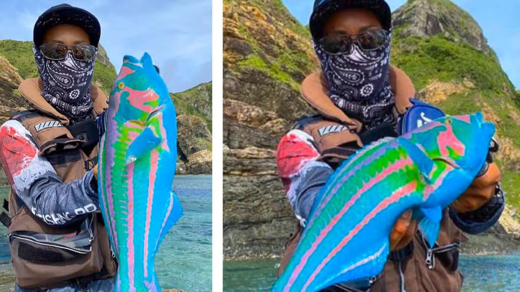 https://revistajaraysedal.es/wp-content/uploads/2021/08/pesca-galicia-puerto.jpg