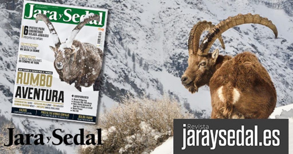 http://stag1.revistajaraysedal.es/wp-content/uploads/2021/08/pesca-galicia-puerto.jpg