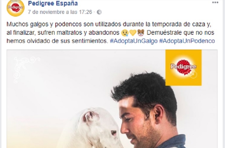 https://revistajaraysedal-app.ute5hxv3fp-ypj68j2z53l2.p.temp-site.link/wp-content/uploads/2021/08/pesca-galicia-puerto.jpg