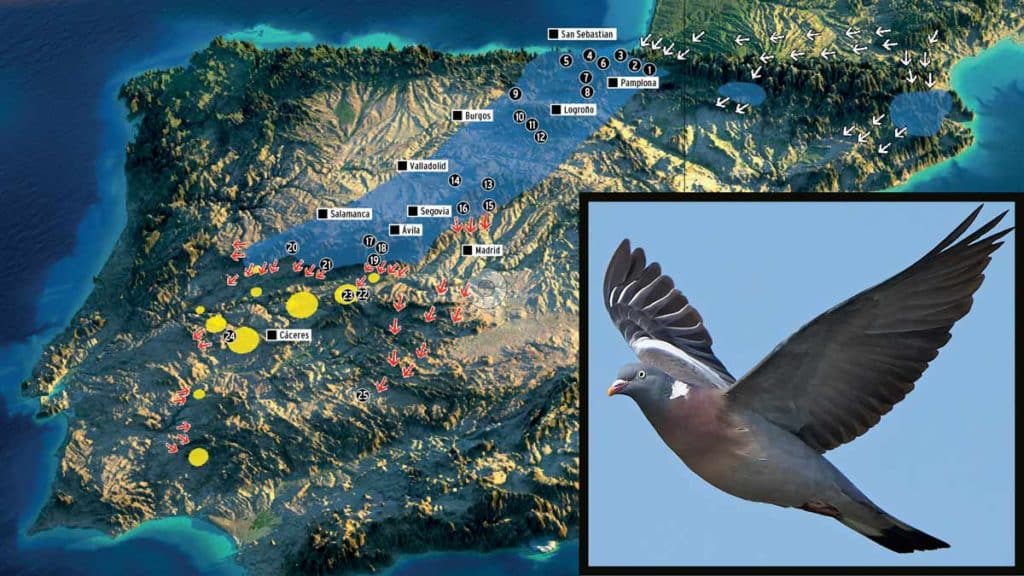 https://revistajaraysedal.es/wp-content/uploads/2021/08/pesca-galicia-puerto.jpg