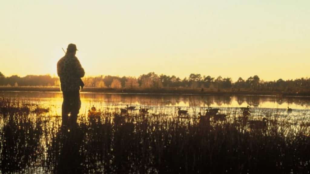 http://stag1.revistajaraysedal.es///wp-content/uploads/2021/08/pesca-galicia-puerto.jpg