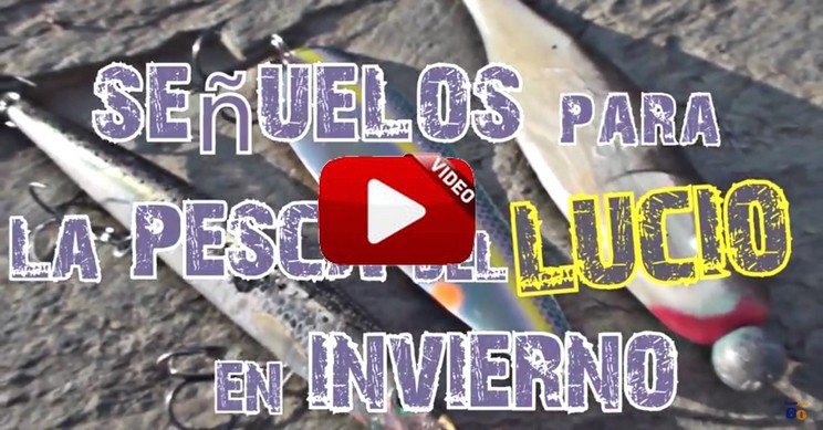 http://stag1.revistajaraysedal.es///wp-content/uploads/2021/08/pesca-galicia-puerto.jpg
