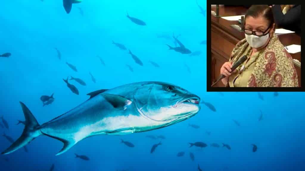 https://revistajaraysedal.es/wp-content/uploads/2021/08/pesca-galicia-puerto.jpg