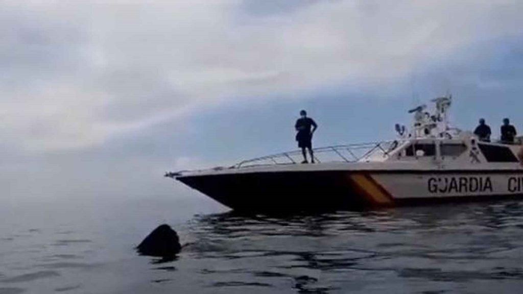 http://stag1.revistajaraysedal.es///wp-content/uploads/2021/08/pesca-galicia-puerto.jpg
