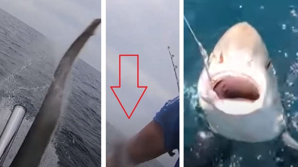 https://revistajaraysedal.es/wp-content/uploads/2021/08/pesca-galicia-puerto.jpg