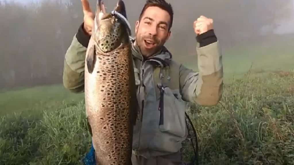 https://revistajaraysedal.es/wp-content/uploads/2021/08/pesca-galicia-puerto.jpg