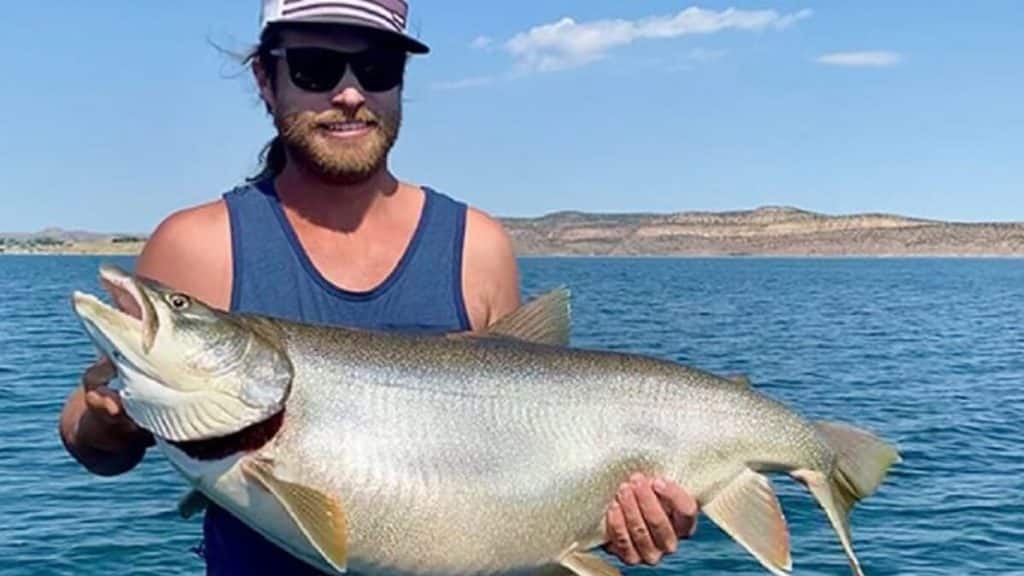 https://revistajaraysedal.es/wp-content/uploads/2021/08/pesca-galicia-puerto.jpg
