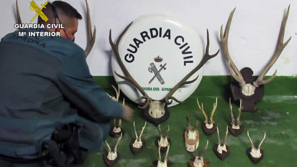 https://revistajaraysedal.es/wp-content/uploads/2021/08/pesca-galicia-puerto.jpg